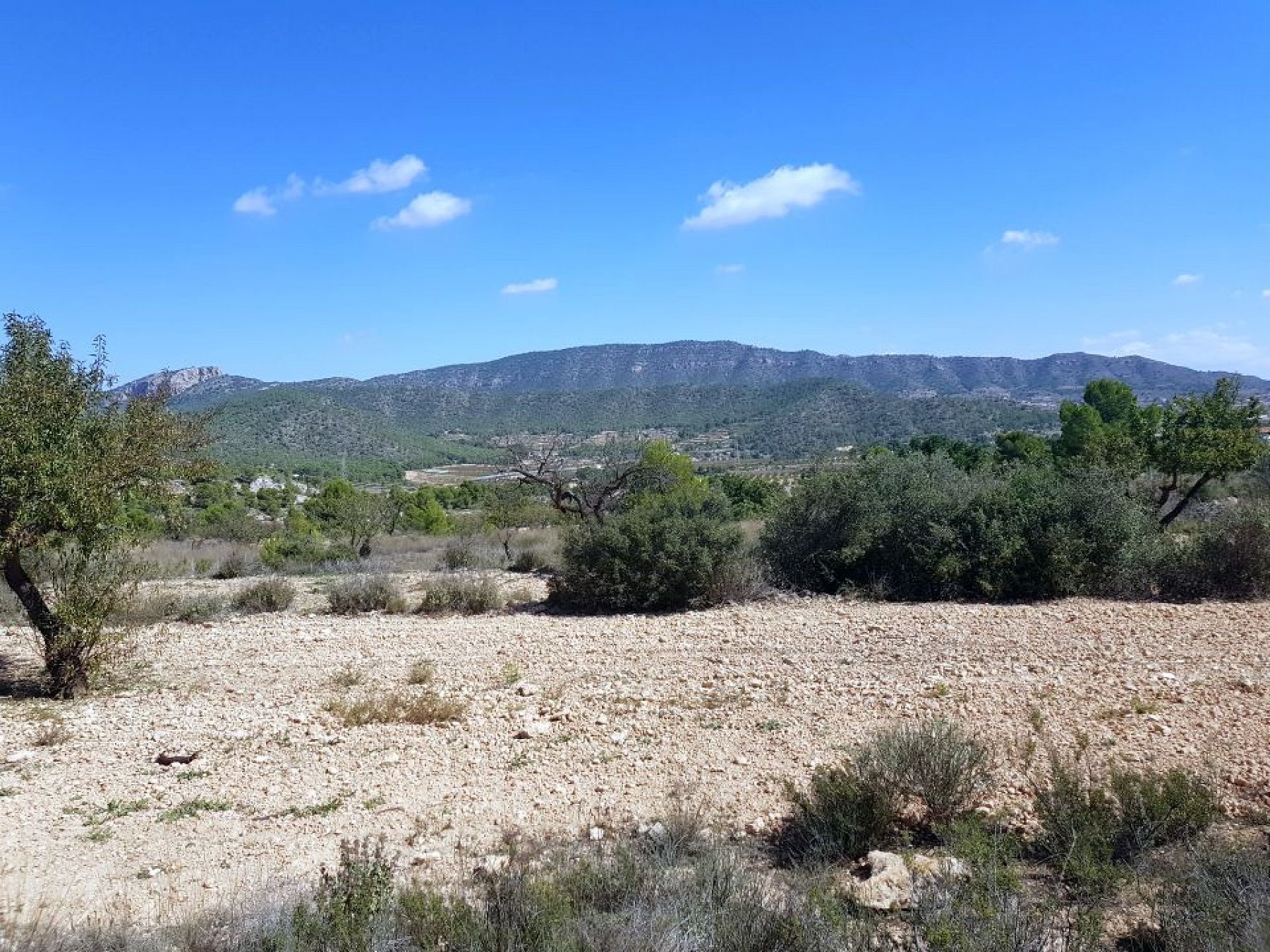 Resale - Land in Monóvar -  - Alicante
