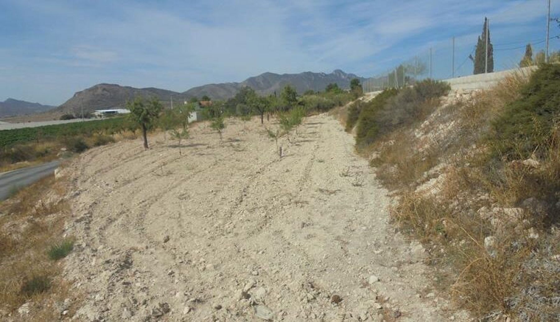 Resale - 6 Bedroom Country house in La Romana -  - Alicante