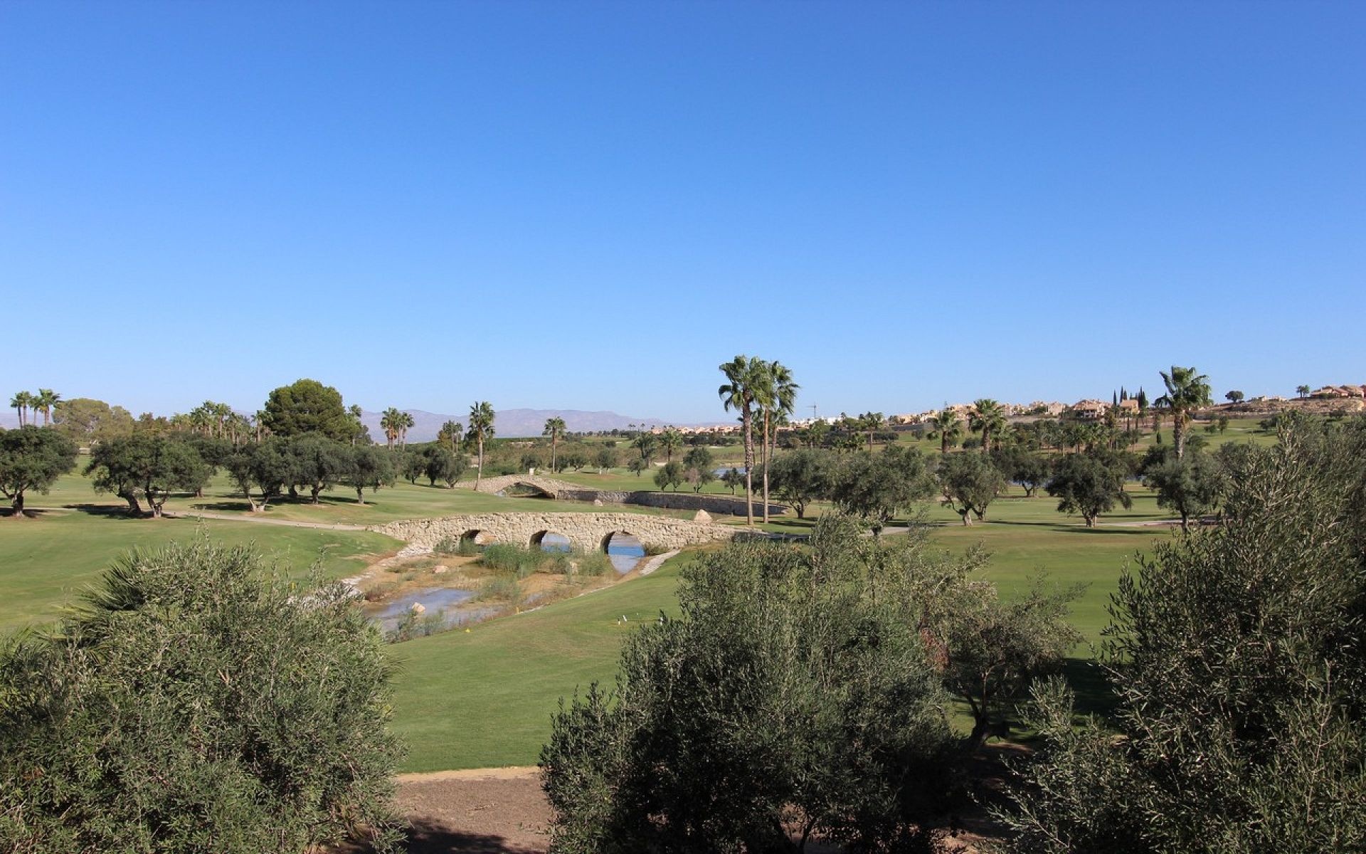 Resale - 3 Bedroom 2 Bathroom Villa in Algorfa -  - Alicante