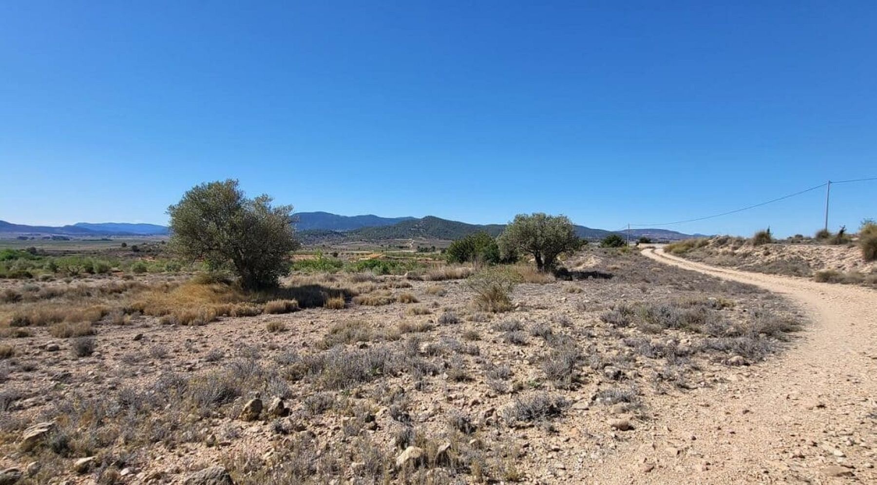 Resale - Land in Monóvar -  - Alicante