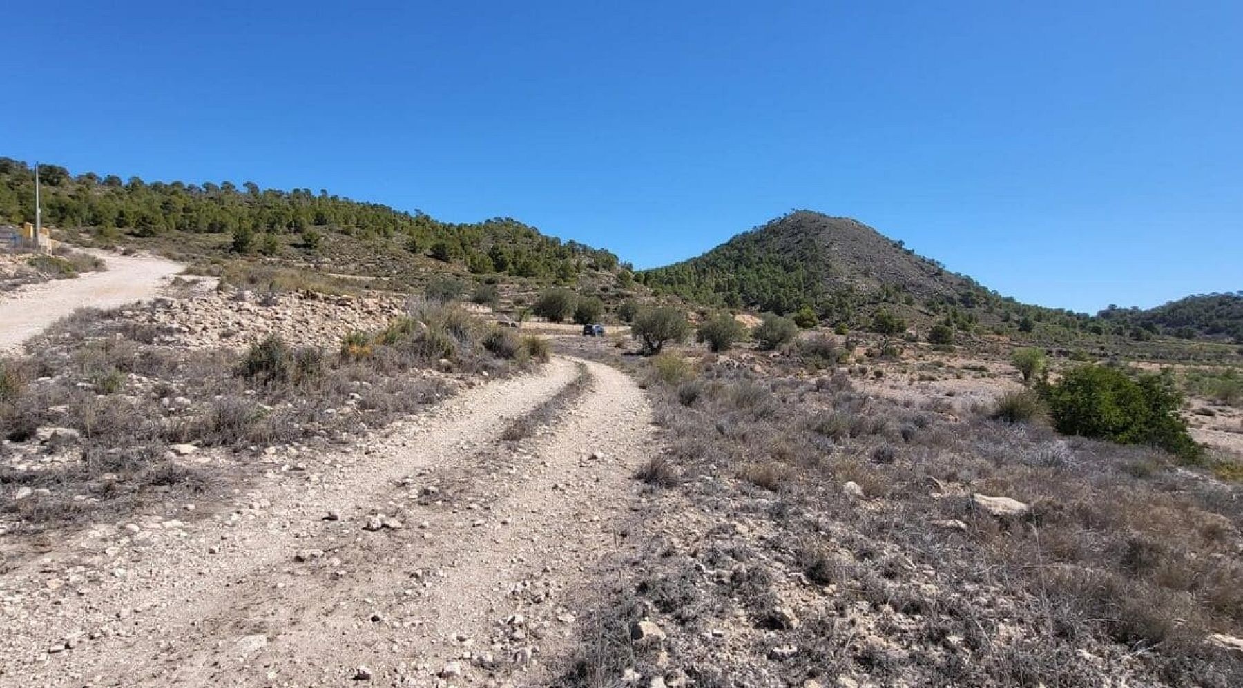 Resale - Land in Monóvar -  - Alicante