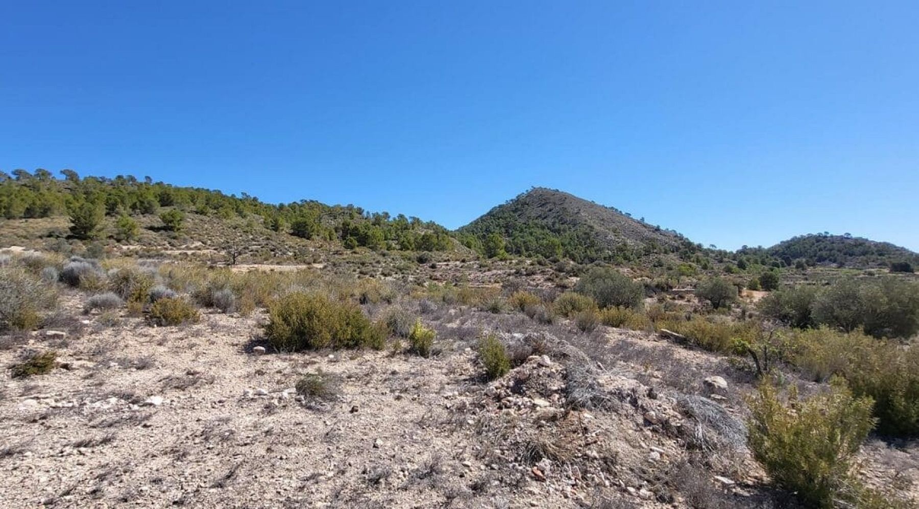 Resale - Land in Monóvar -  - Alicante