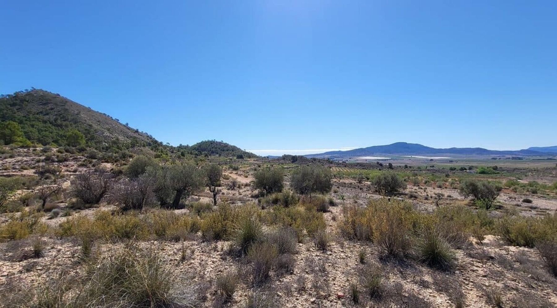 Resale - Land in Monóvar -  - Alicante
