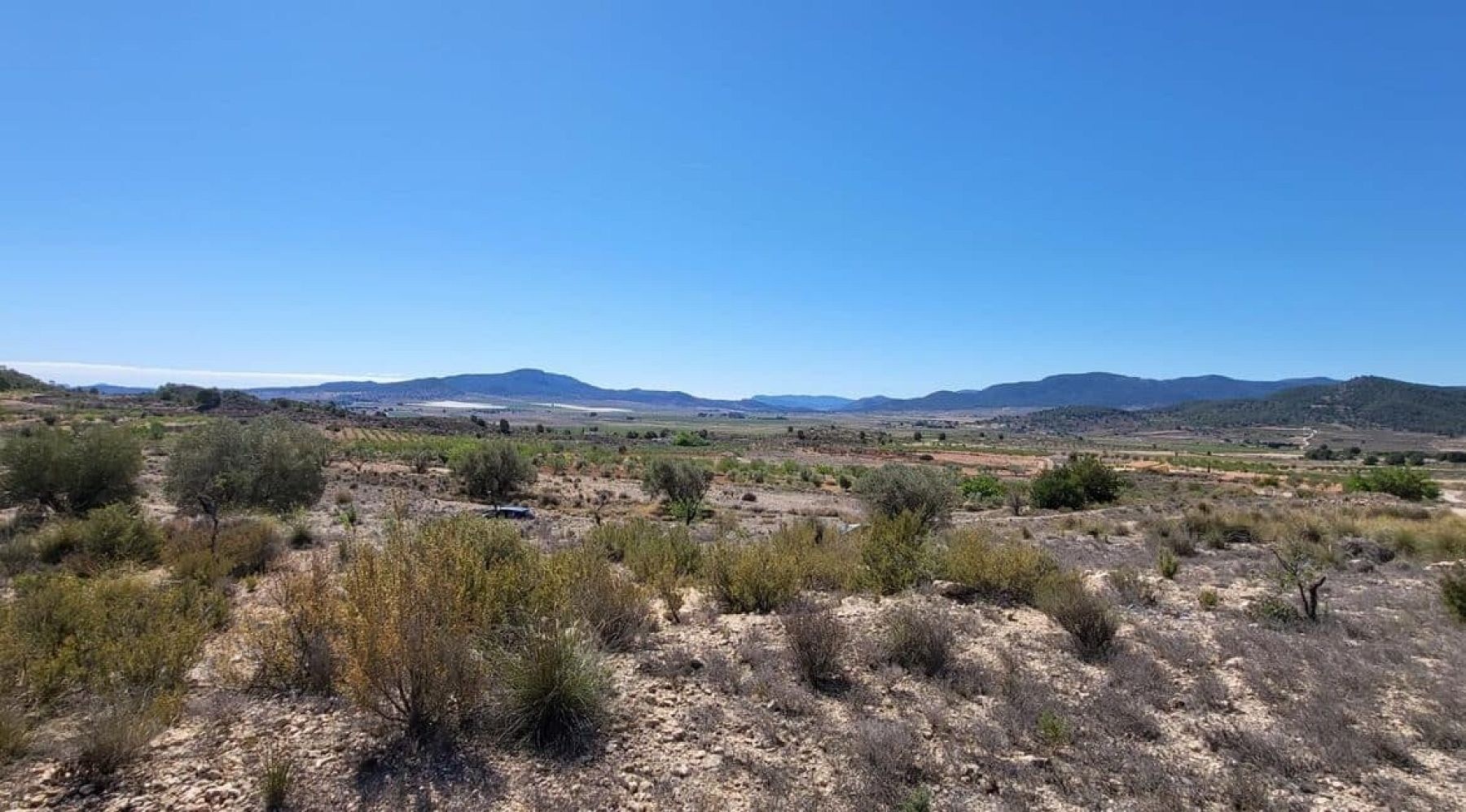 Resale - Land in Monóvar -  - Alicante