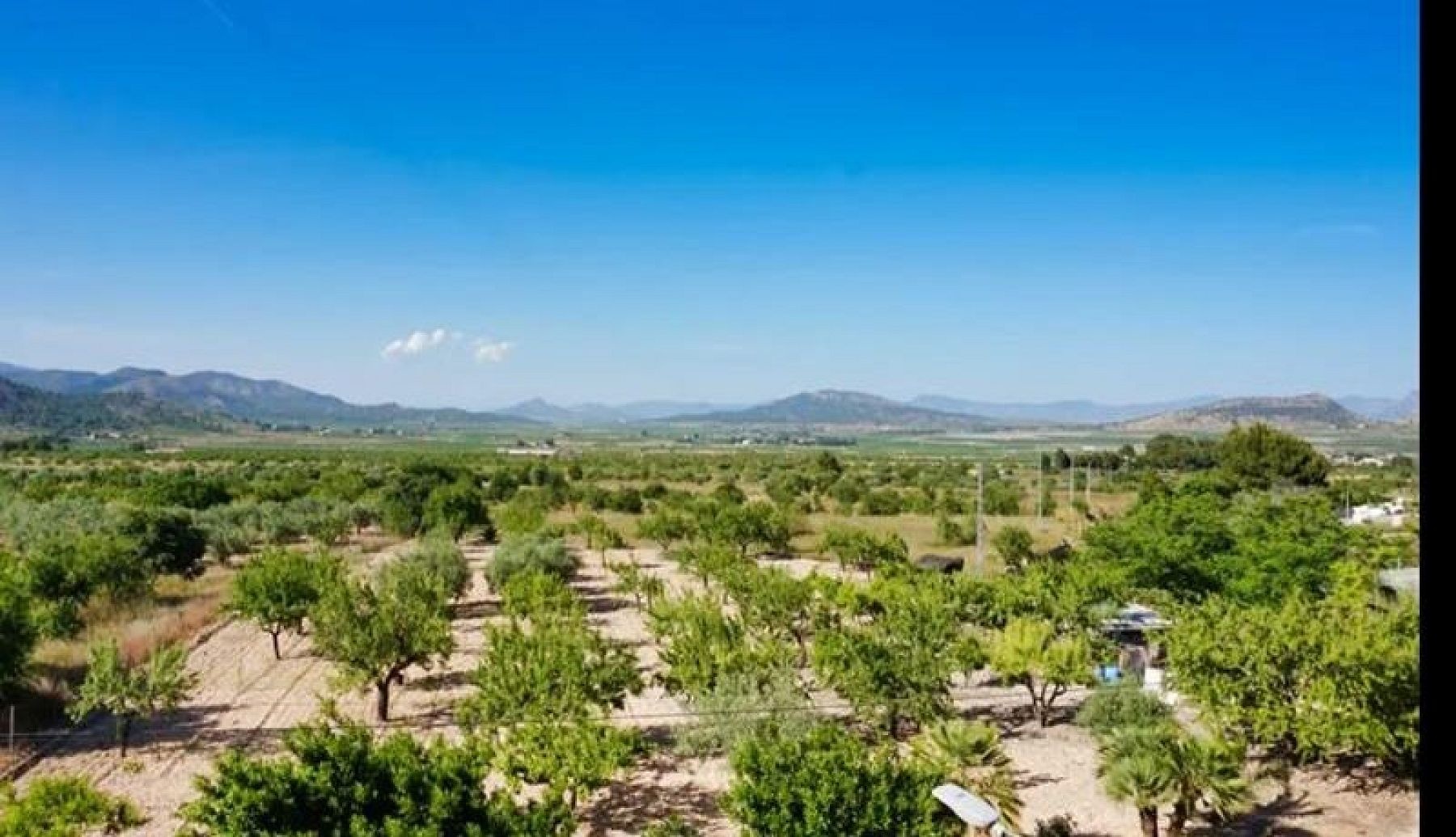 Resale - 3 Bedroom 2 Bathroom Townhouse in Casas Del Señor -  - Alicante