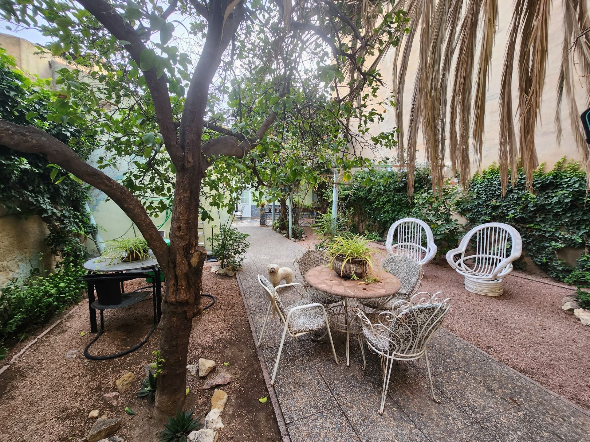 Resale - 4 Bedroom 2 Bathroom Townhouse in Monóvar -  - Alicante