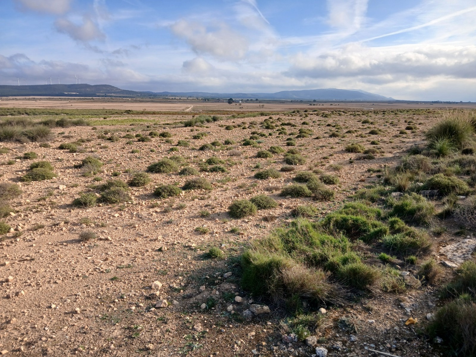 Resale - Land in Yecla -  - Murcia