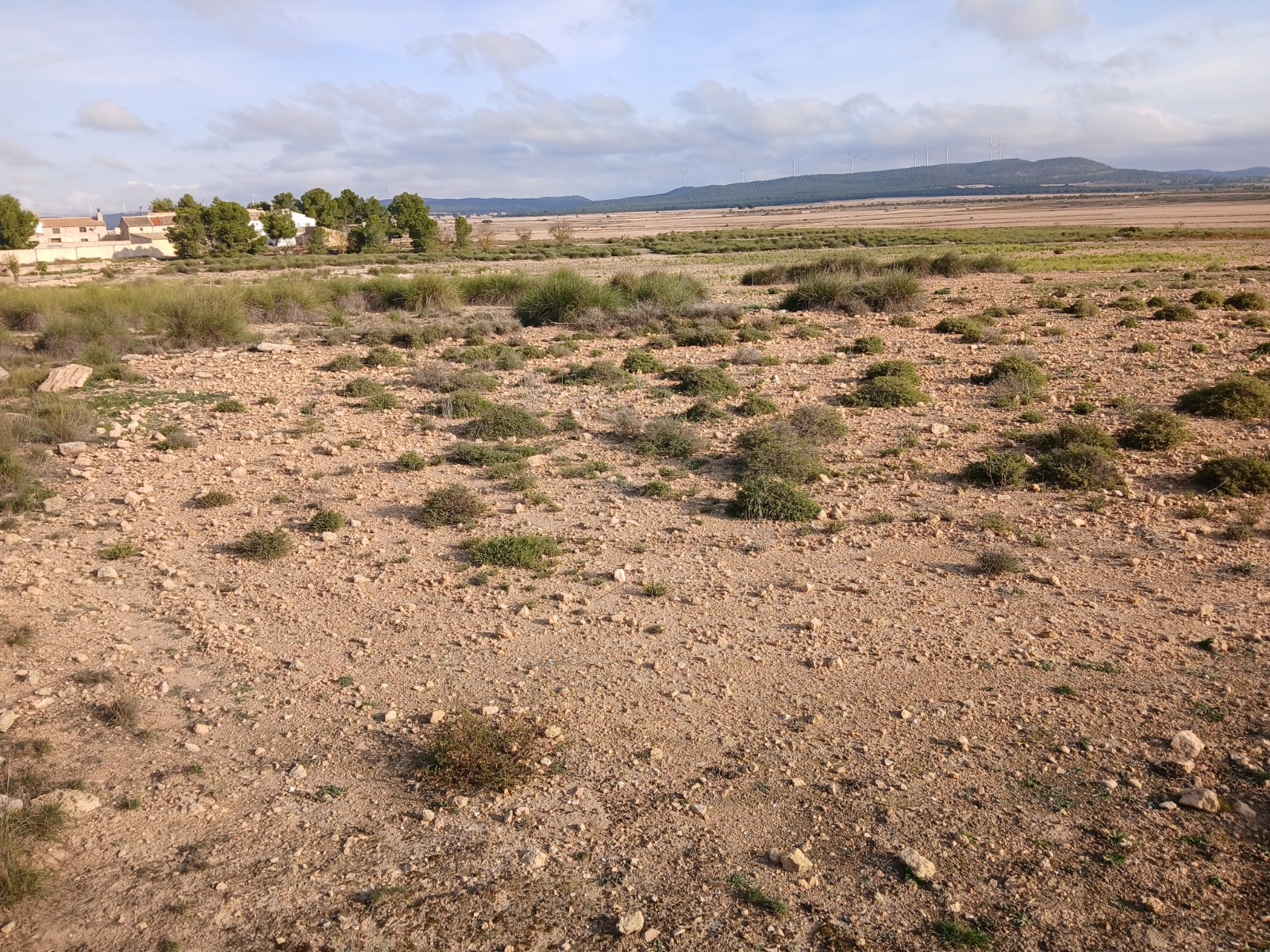 Resale - Land in Yecla -  - Murcia