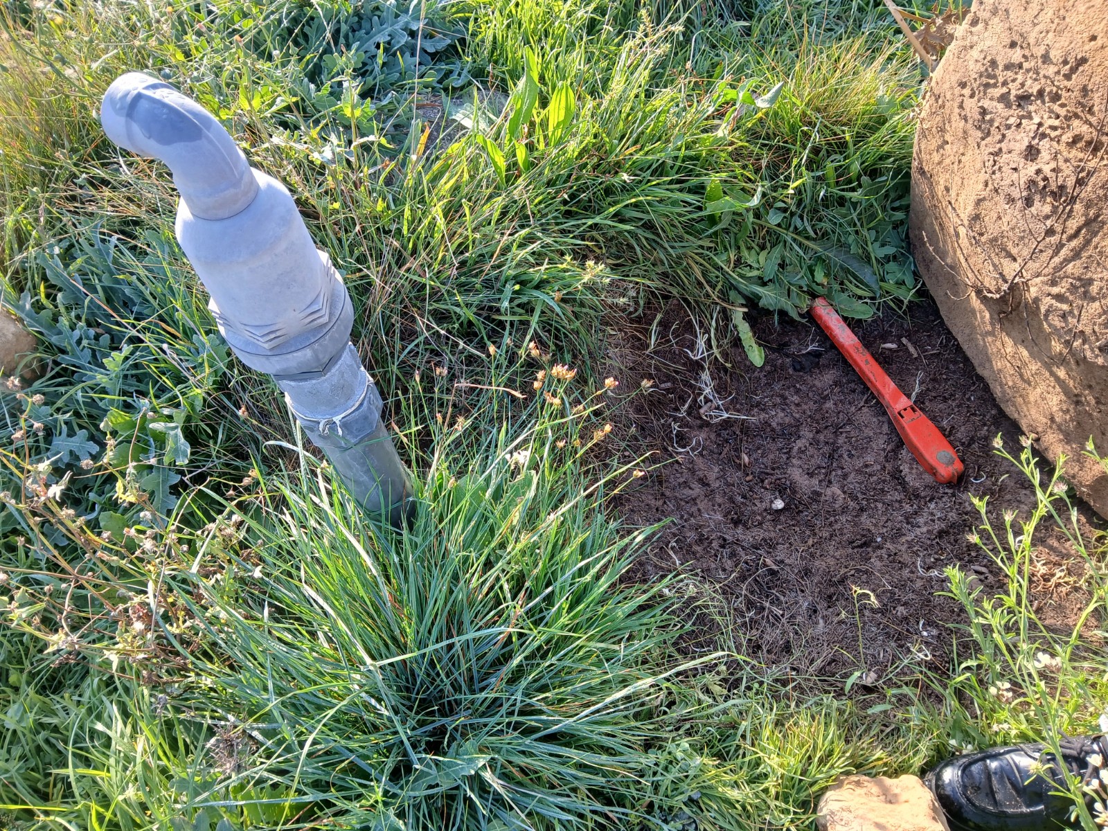 Resale - Land in Yecla -  - Murcia