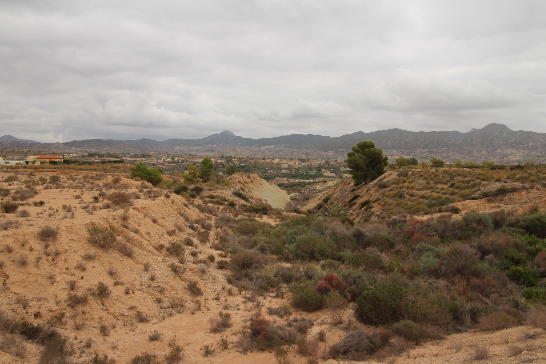 Resale - Land in Abanilla -  - Murcia