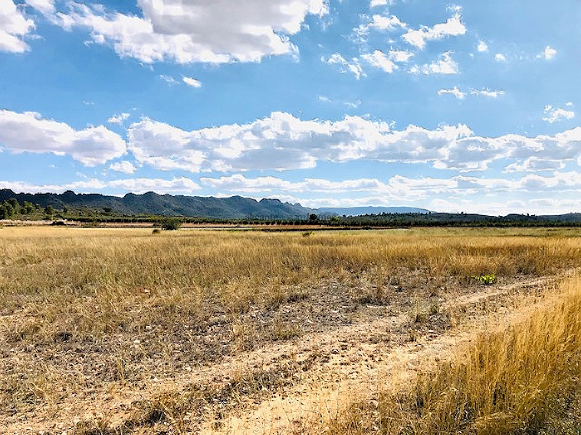Resale - 4 Bedroom 1 Bathroom Country house in Yecla -  - Murcia