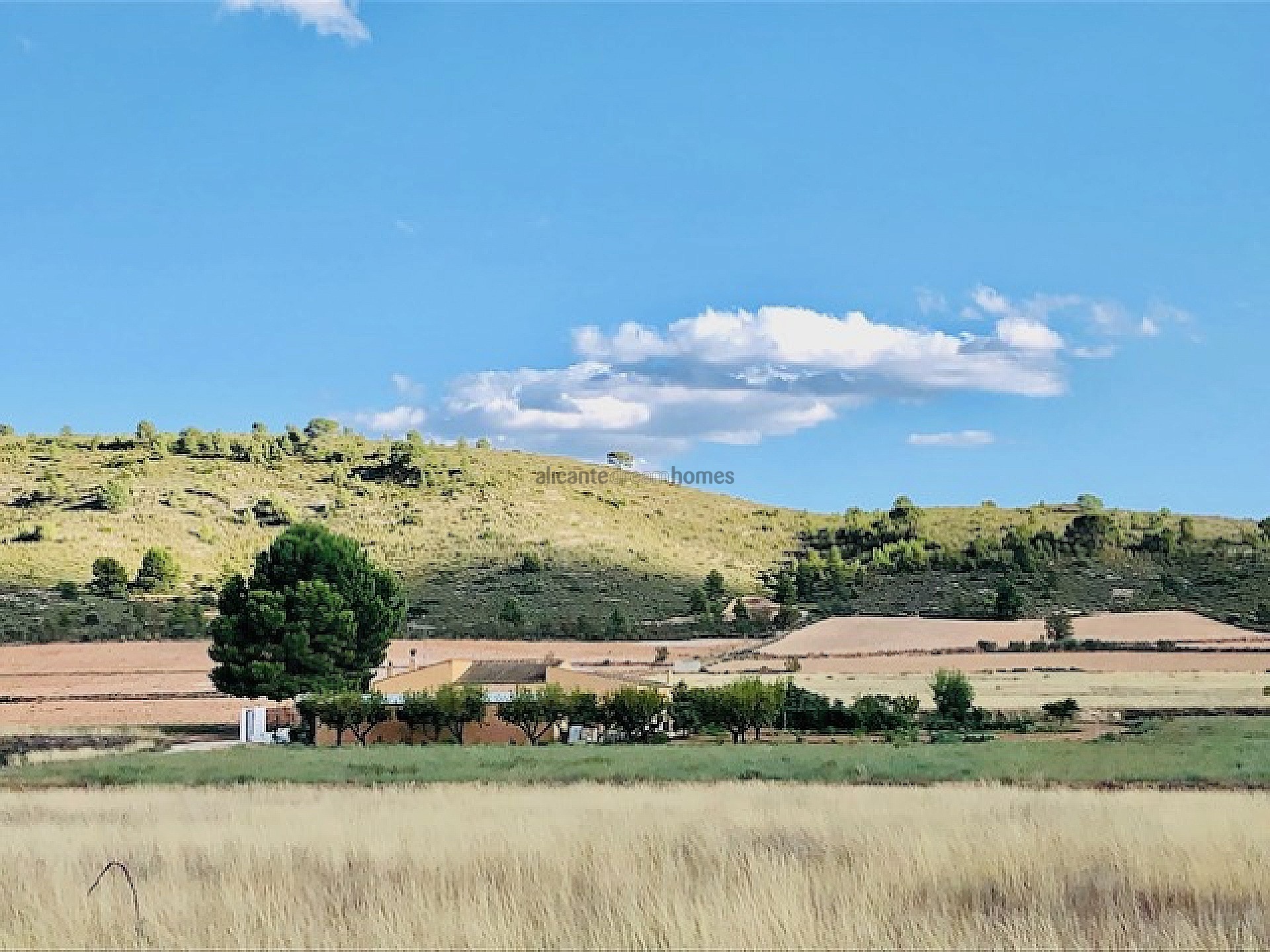 Resale - 4 Bedroom 1 Bathroom Country house in Yecla -  - Murcia