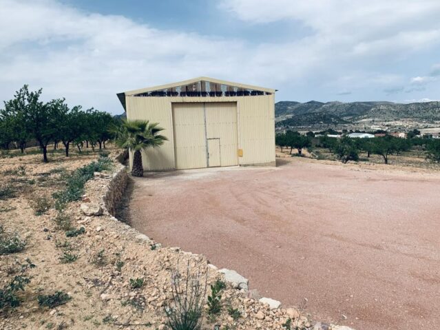 Resale - Land in La Romana -  - Alicante