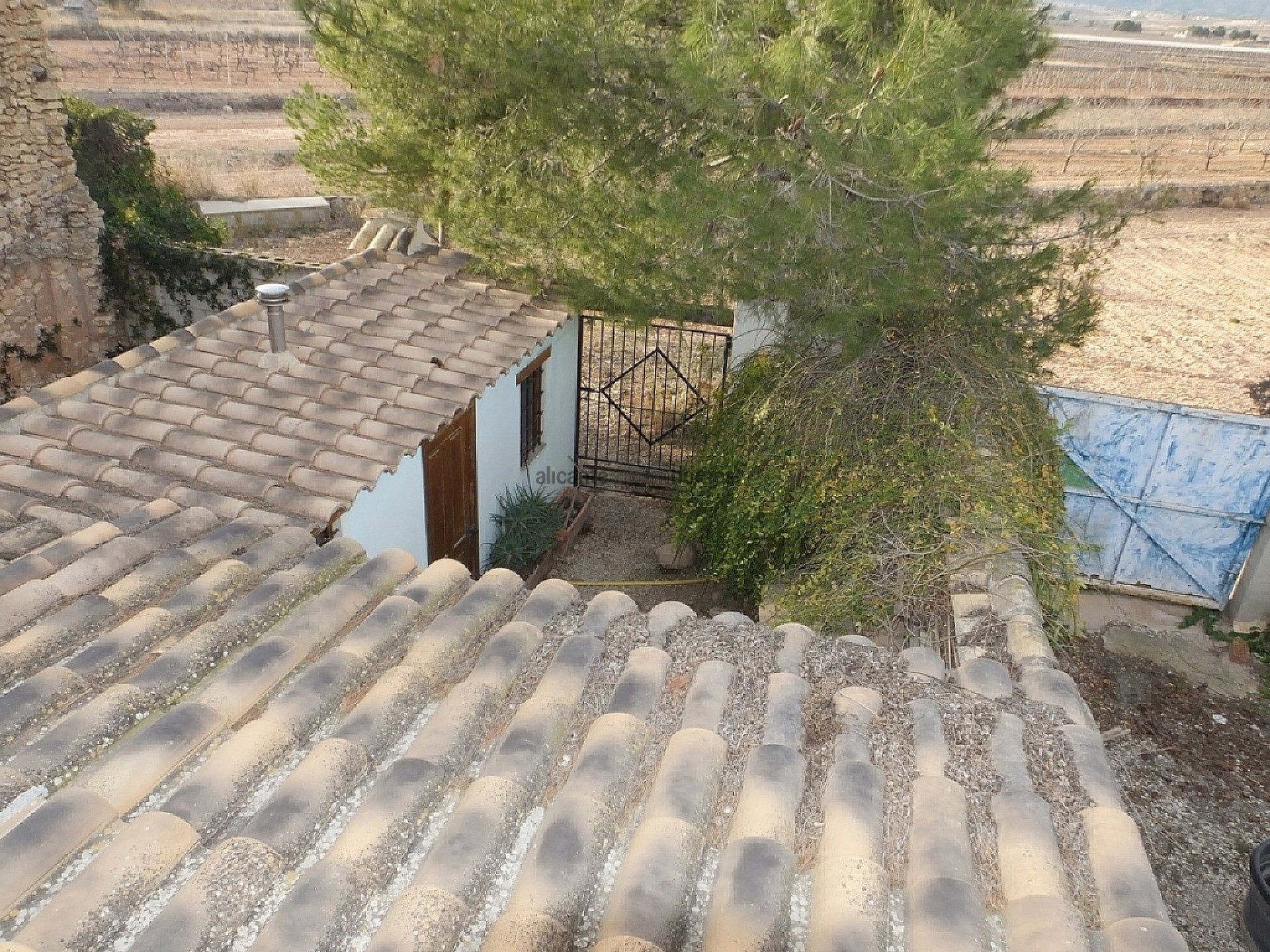 Resale - 3 Bedroom 2 Bathroom Country house in Pinoso -  - Alicante
