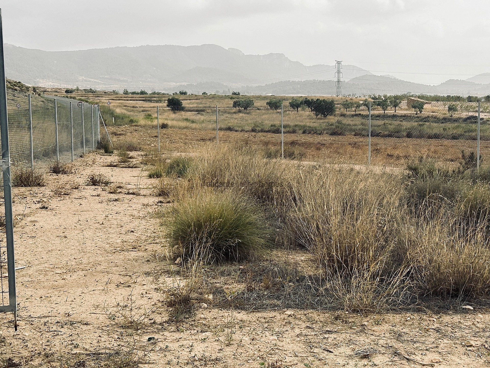 Resale - Land in Torre Del Rico -  - Murcia