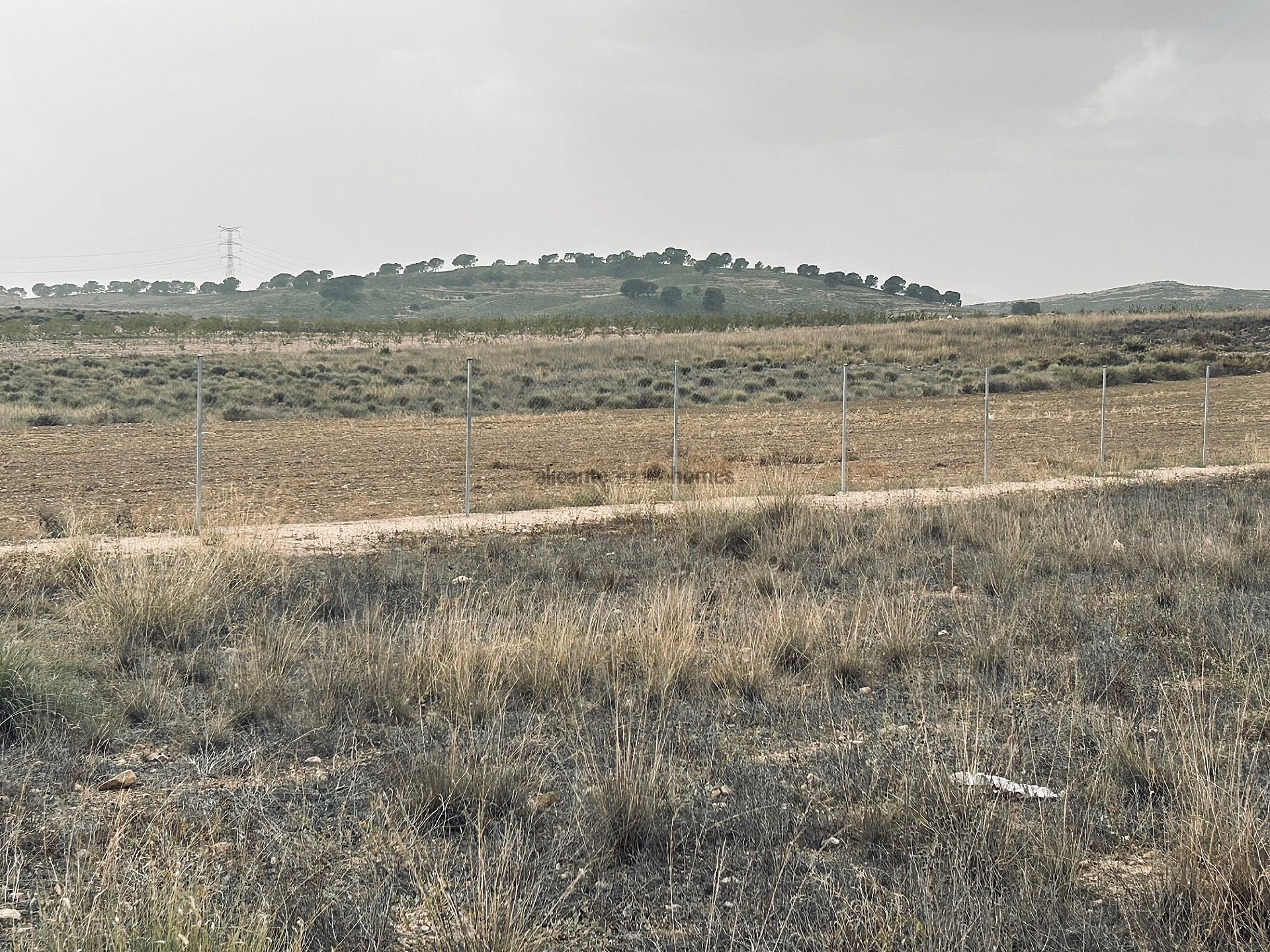 Resale - Land in Torre Del Rico -  - Murcia
