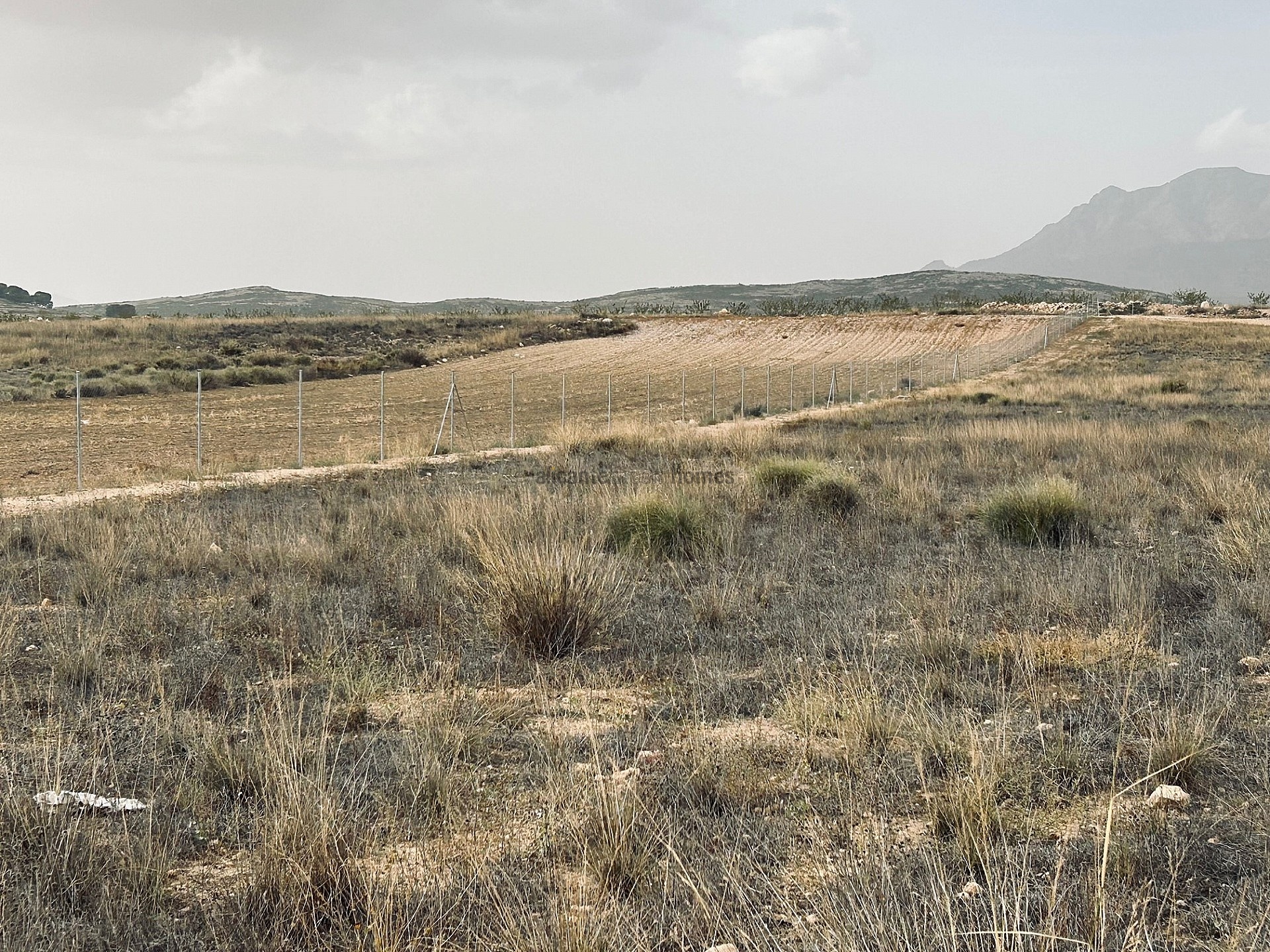 Resale - Land in Torre Del Rico -  - Murcia
