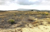 Land in Torre Del Rico