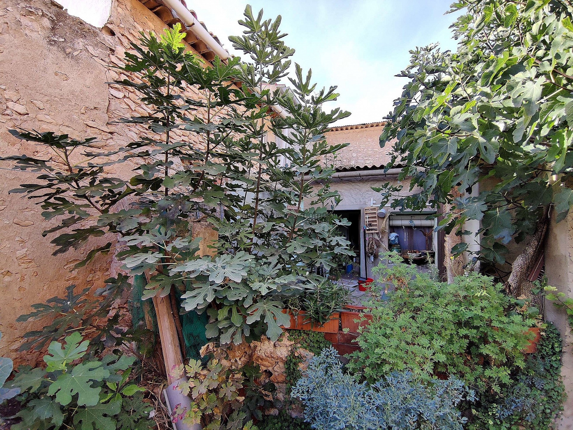 Resale - 5 Bedroom 1 Bathroom Country house in Monóvar -  - Alicante