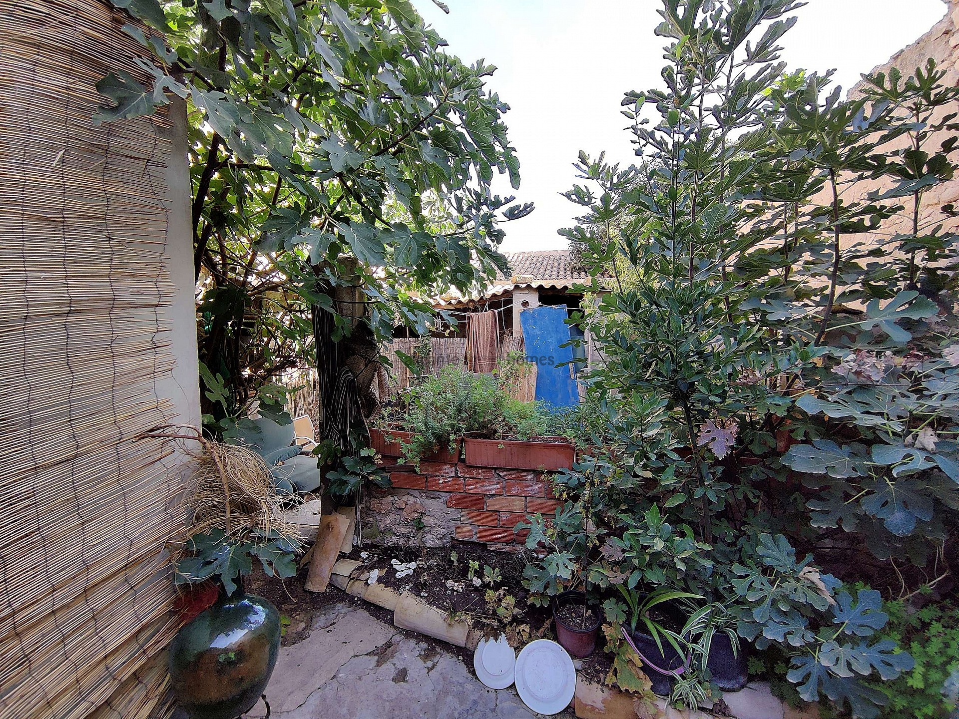 Resale - 5 Bedroom 1 Bathroom Country house in Monóvar -  - Alicante
