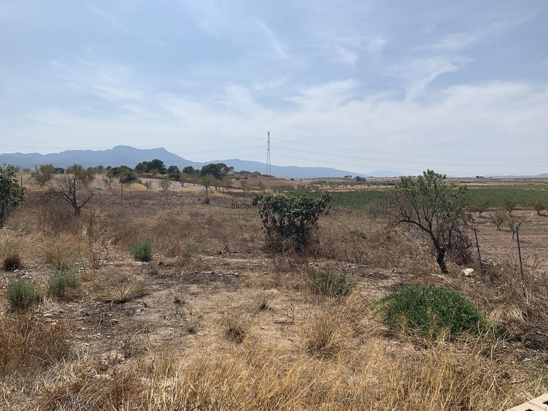 Resale - 5 Bedroom 3 Bathroom Finca in Torre Del Rico -  - Murcia