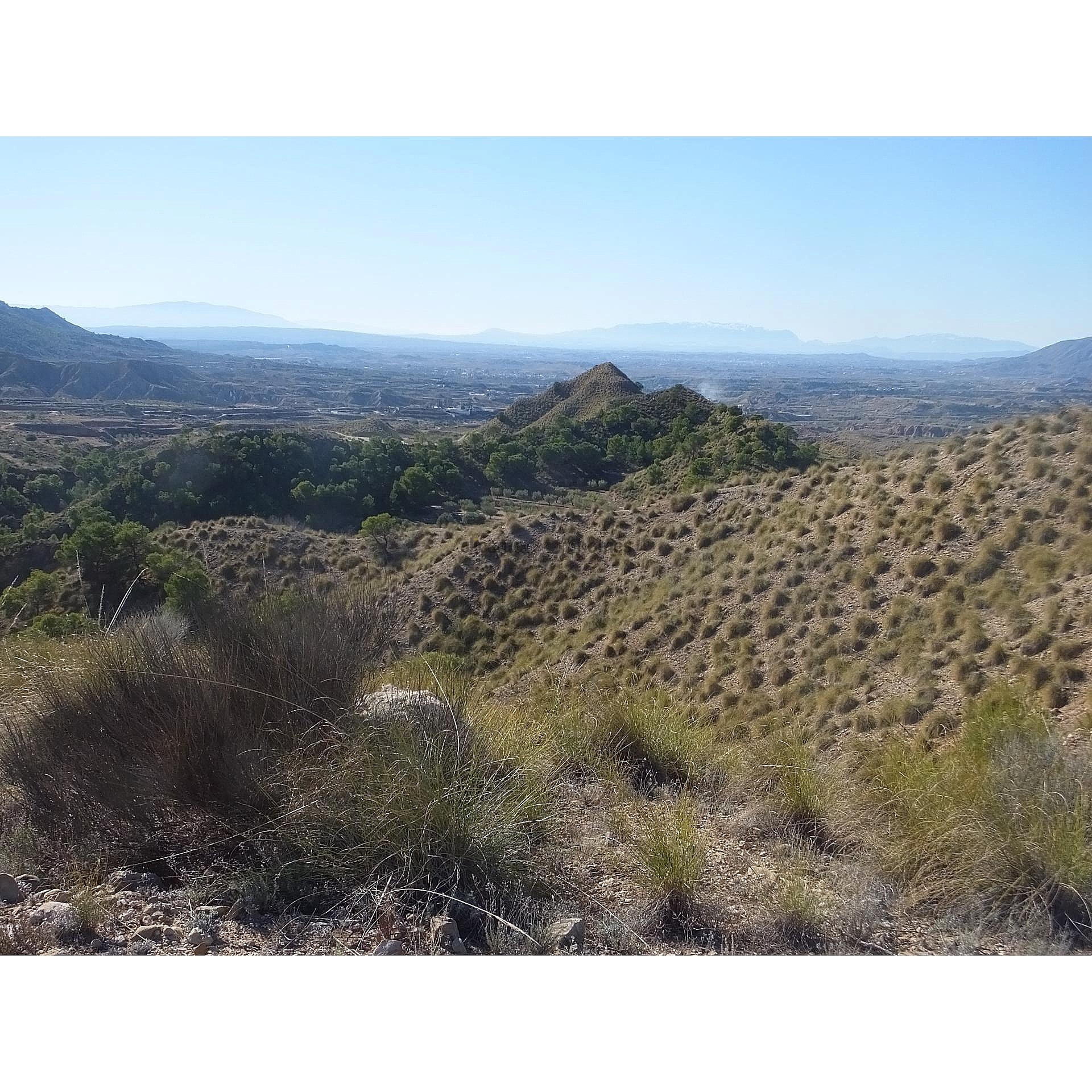 Resale - Land in Abanilla -  - Murcia