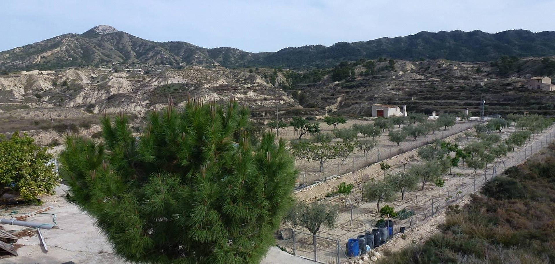 Resale - 3 Bedroom 1 Bathroom Cave House in Abanilla -  - Murcia
