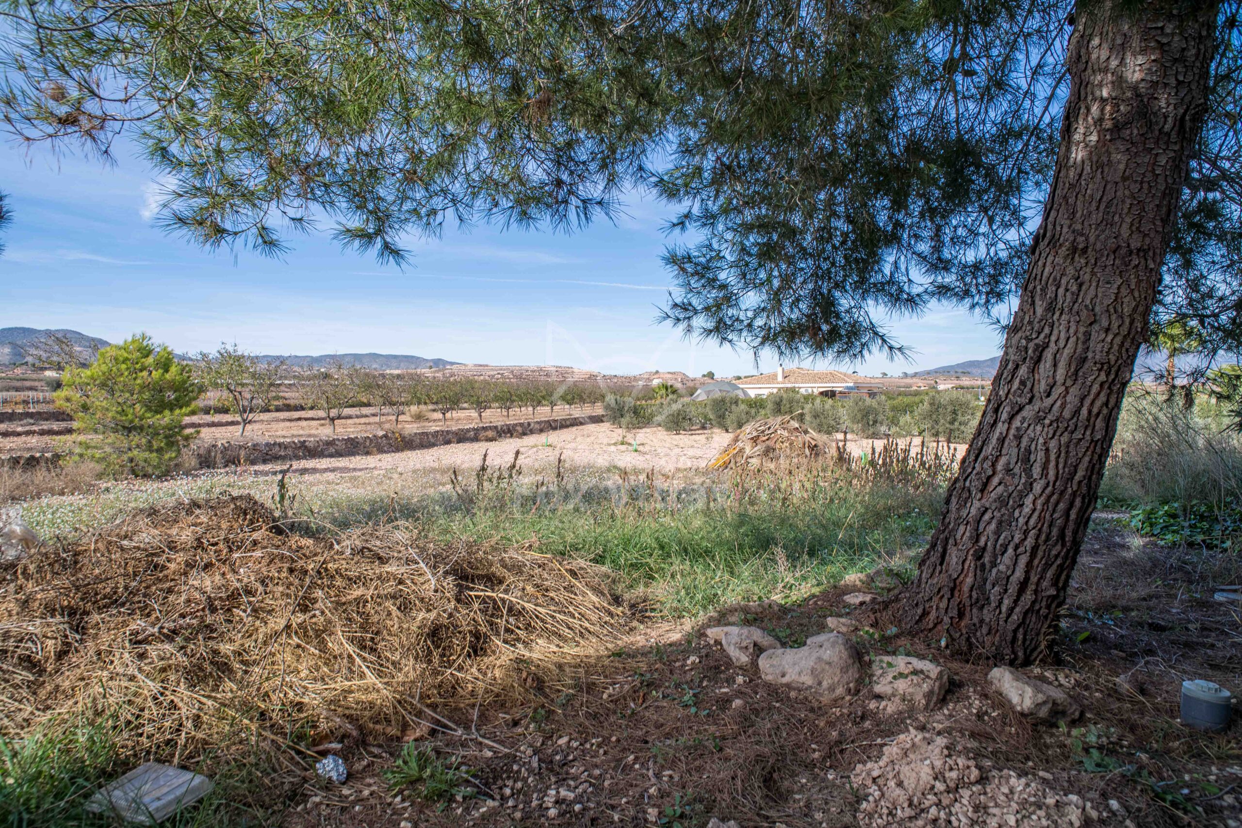 Resale - 3 Bedroom 2 Bathroom Townhouse in Pinoso - , Pinoso, Alicante, Spain - Alicante