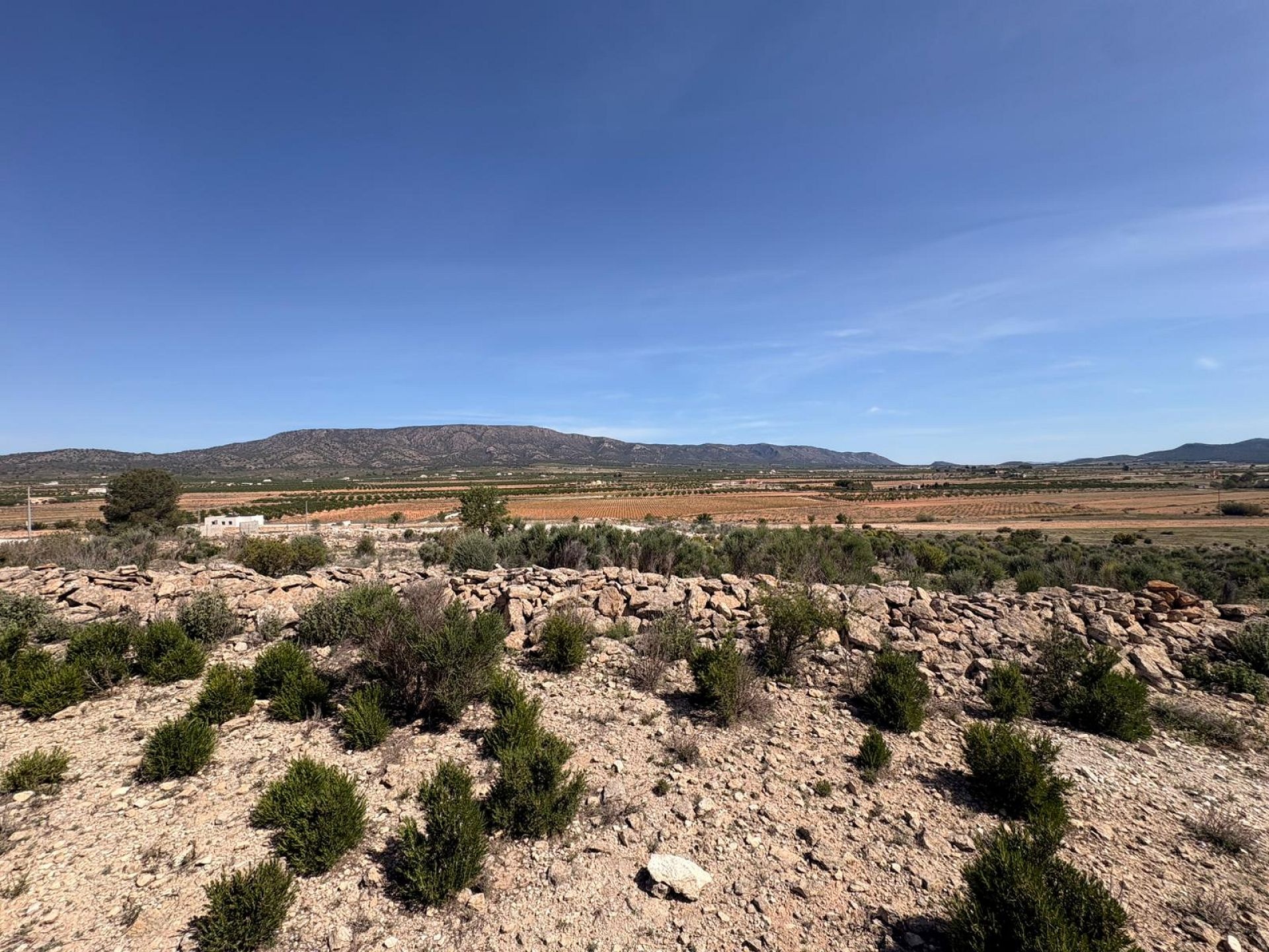 Resale - Land in Pinoso -  - Alicante