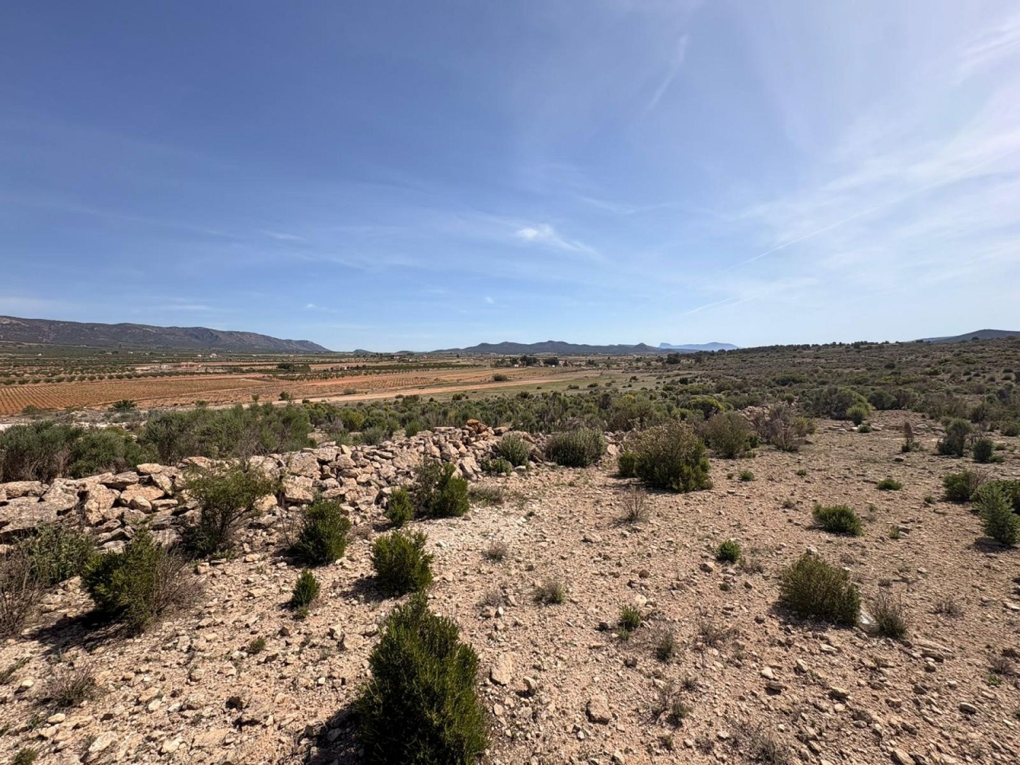 Land in Pinoso