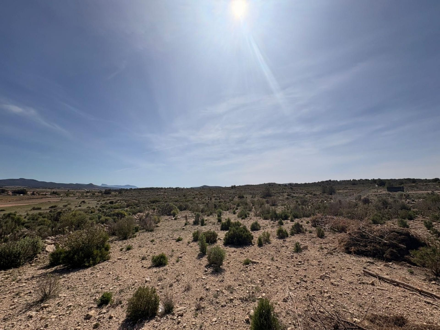 Land in Pinoso