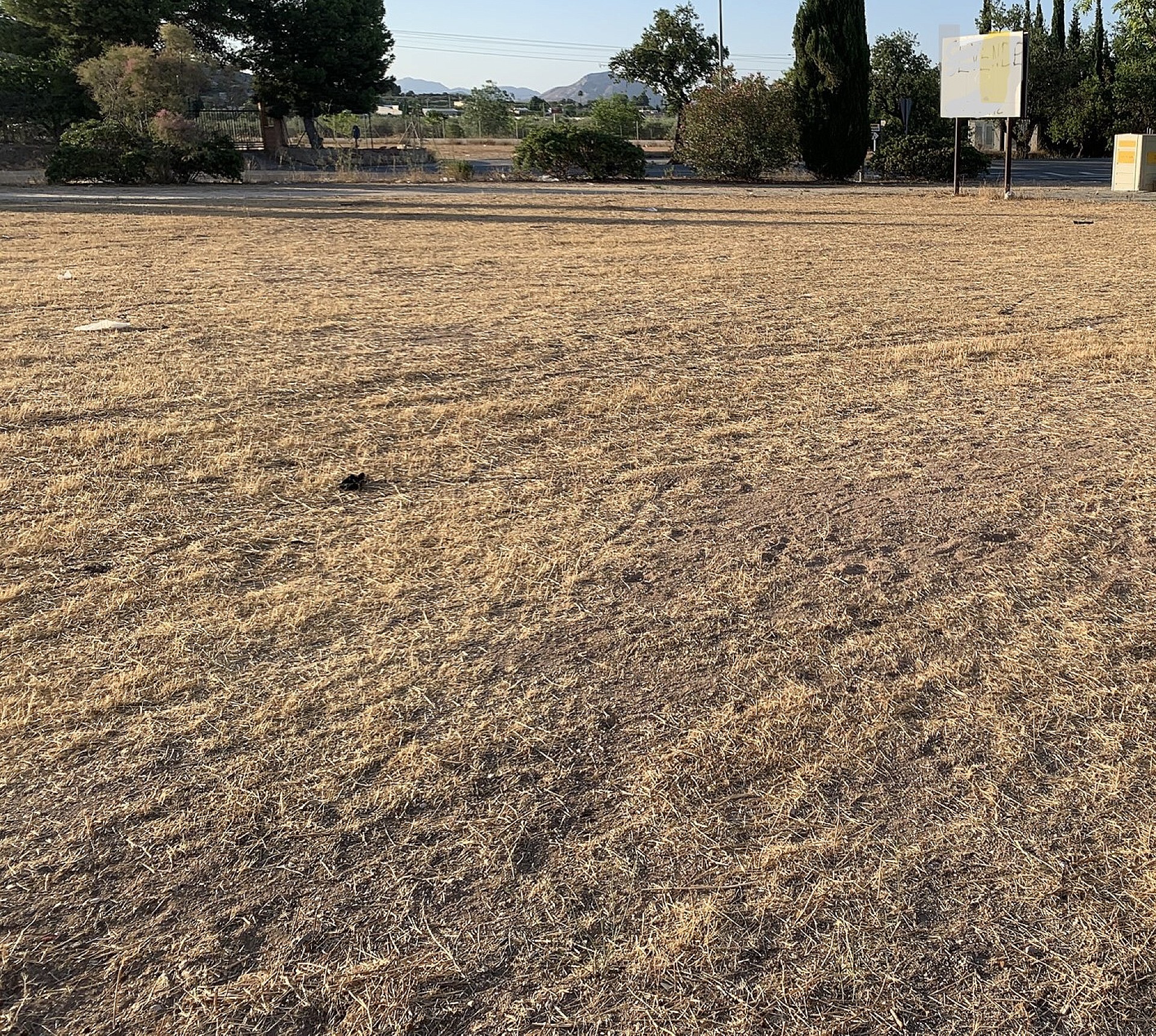 Resale - 3 Bedroom 2 Bathroom Land in Aspe -  - Alicante