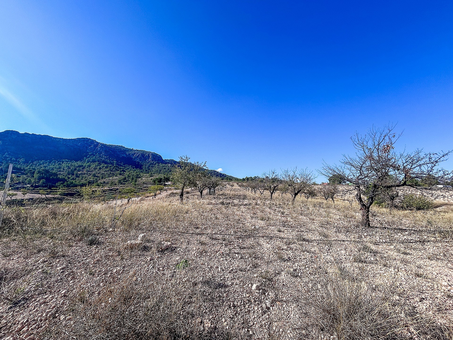 Sold - 2 Bedroom 1 Bathroom Finca in Elda -  - Alicante