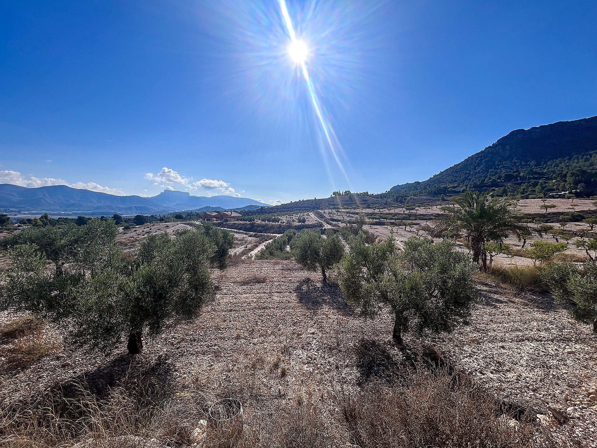 Sold - 2 Bedroom 1 Bathroom Finca in Elda -  - Alicante