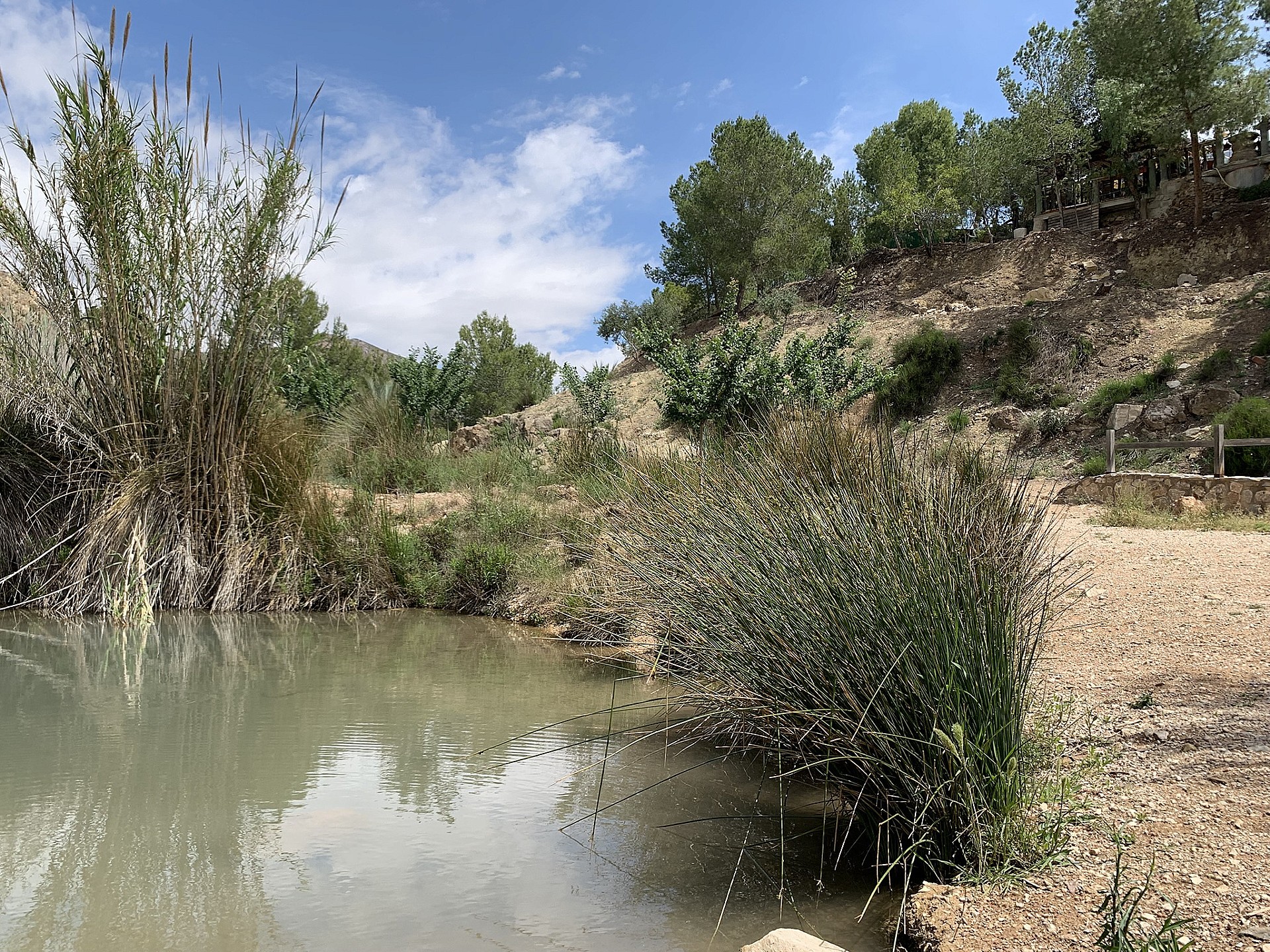 Resale - 3 Bedroom 1 Bathroom Country house in Macisvenda -  - Murcia