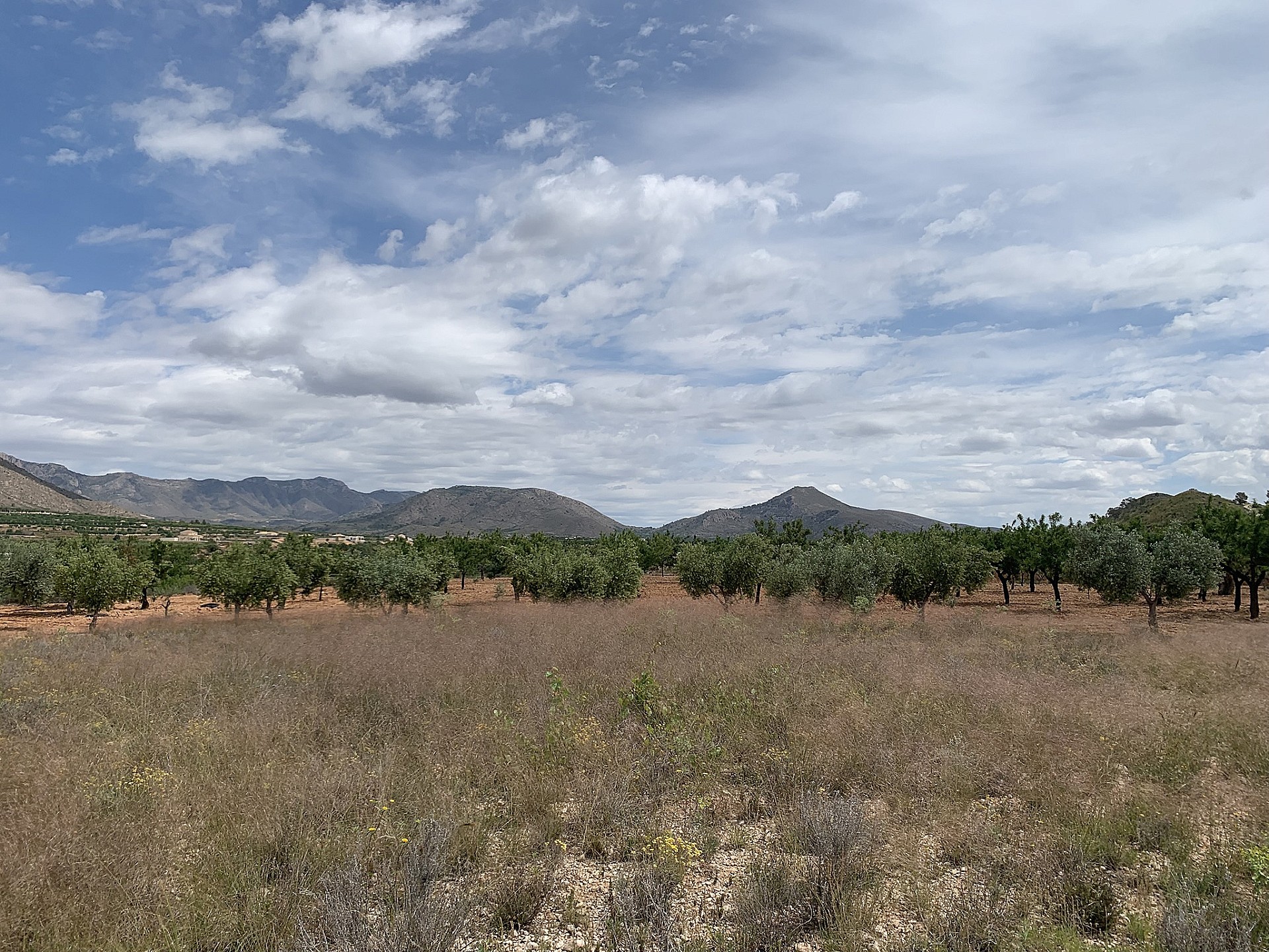 Resale - 3 Bedroom 1 Bathroom Country house in Macisvenda -  - Murcia