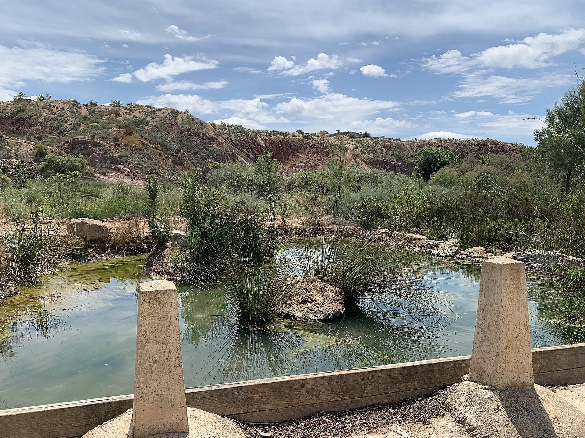 Resale - 3 Bedroom 1 Bathroom Country house in Macisvenda -  - Murcia