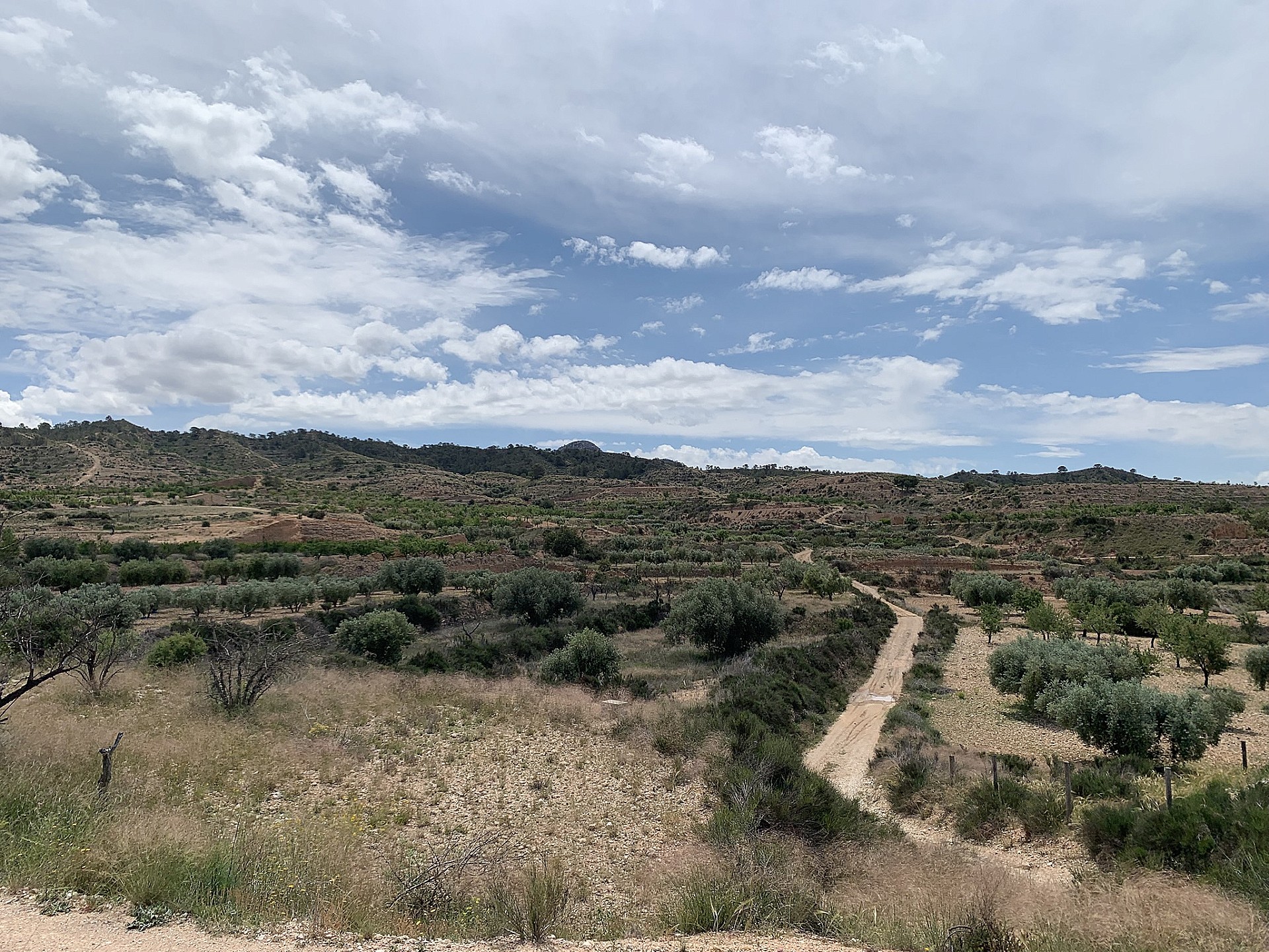 Resale - 3 Bedroom 1 Bathroom Country house in Macisvenda -  - Murcia