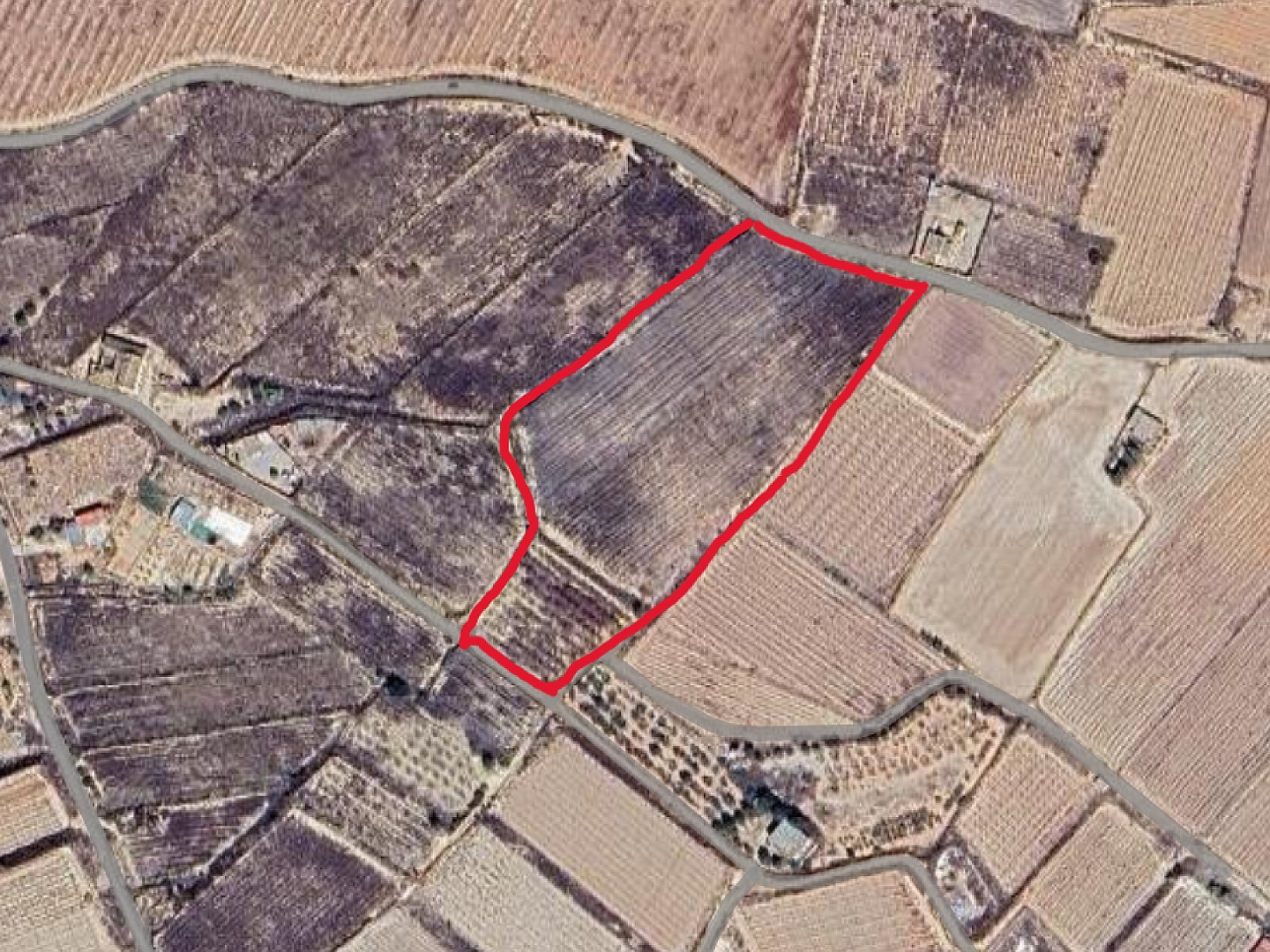 Land in Monforte Del Cid