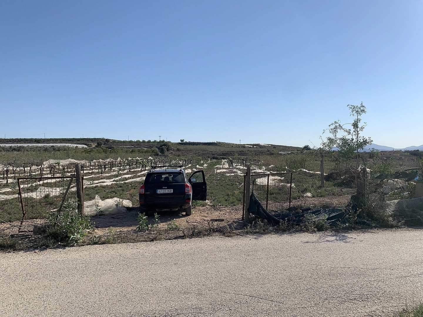 Land in Monforte Del Cid