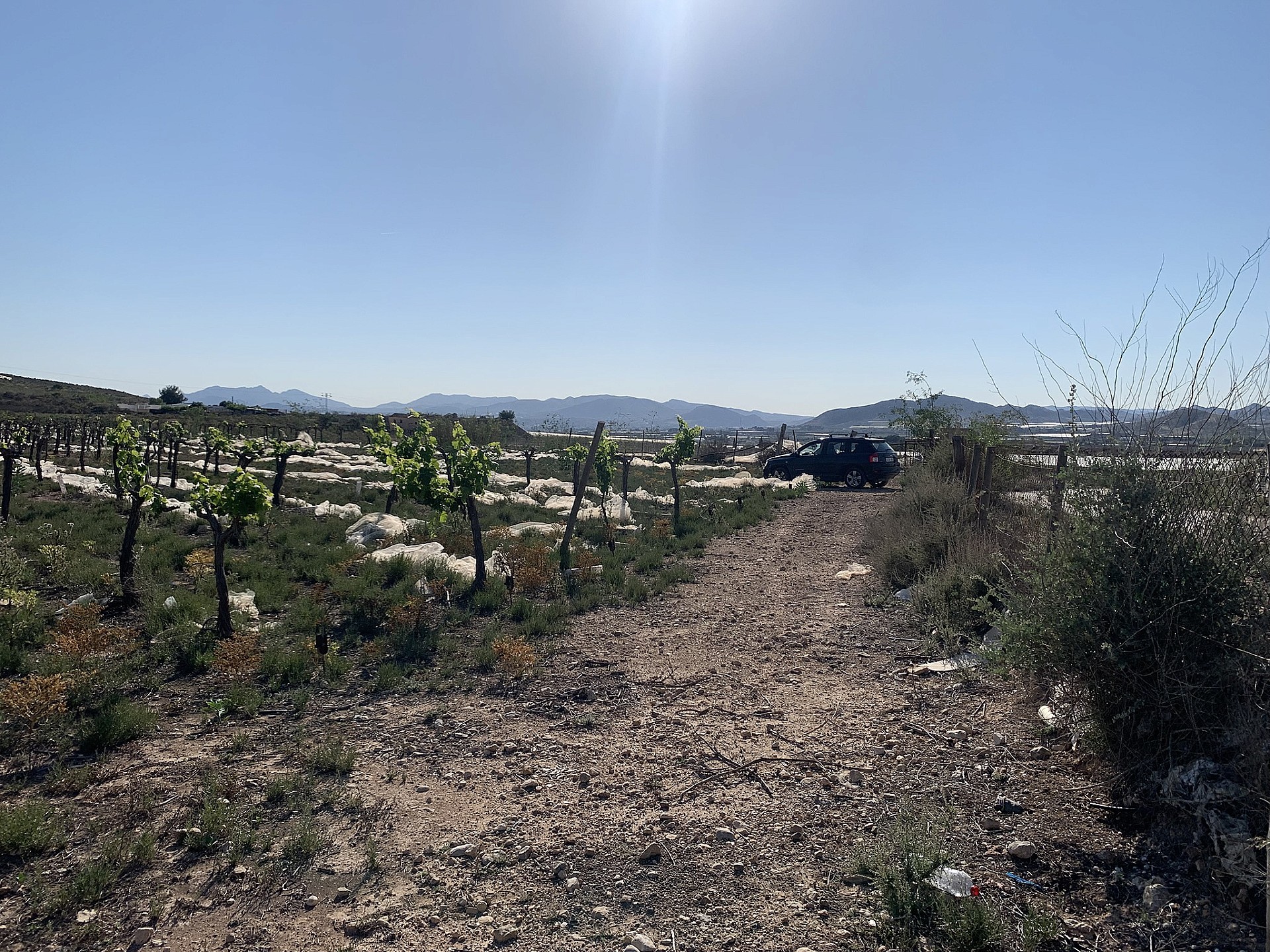 Resale - Land in Monforte Del Cid -  - Alicante