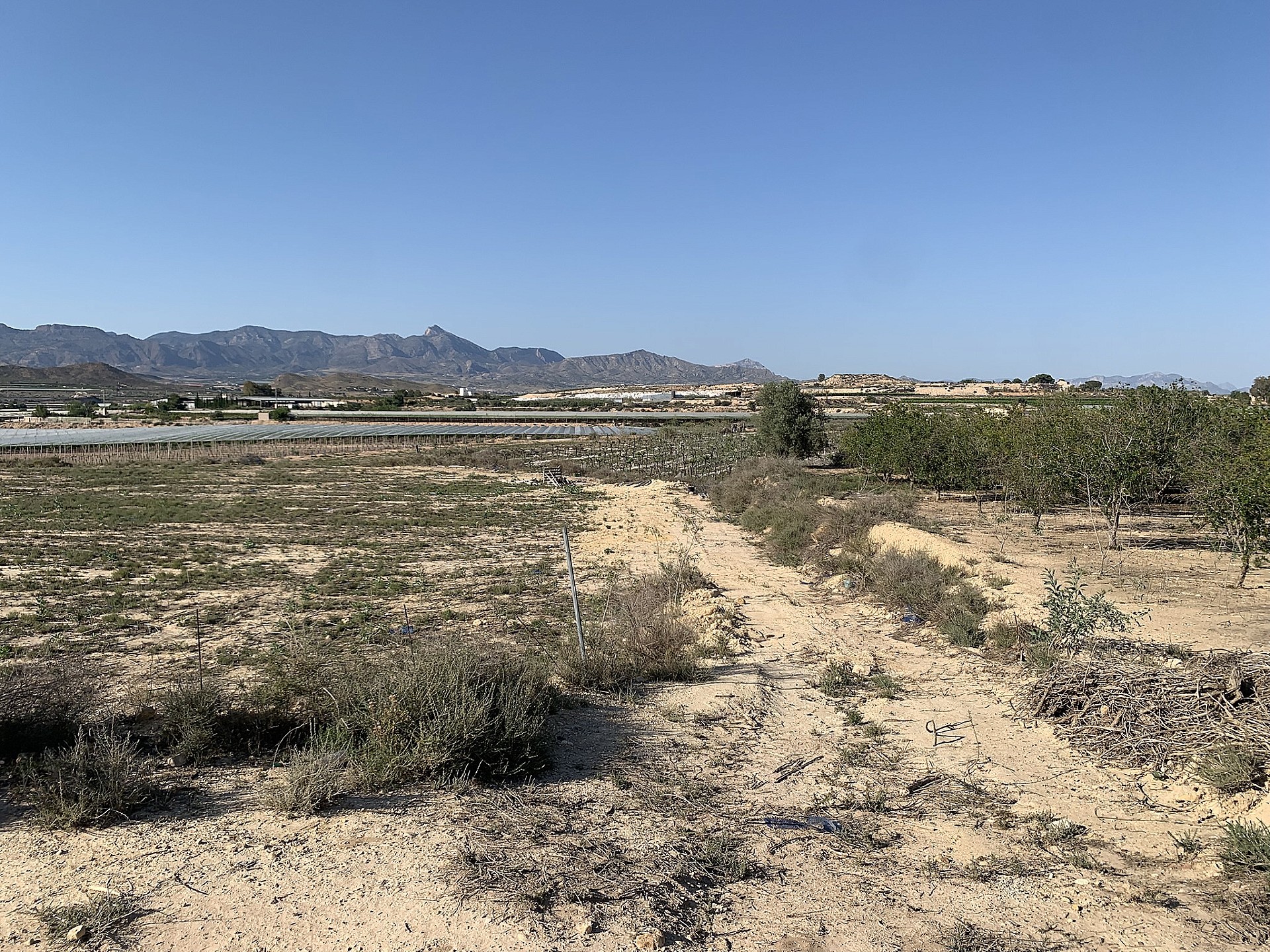 Resale - Land in Monforte Del Cid -  - Alicante