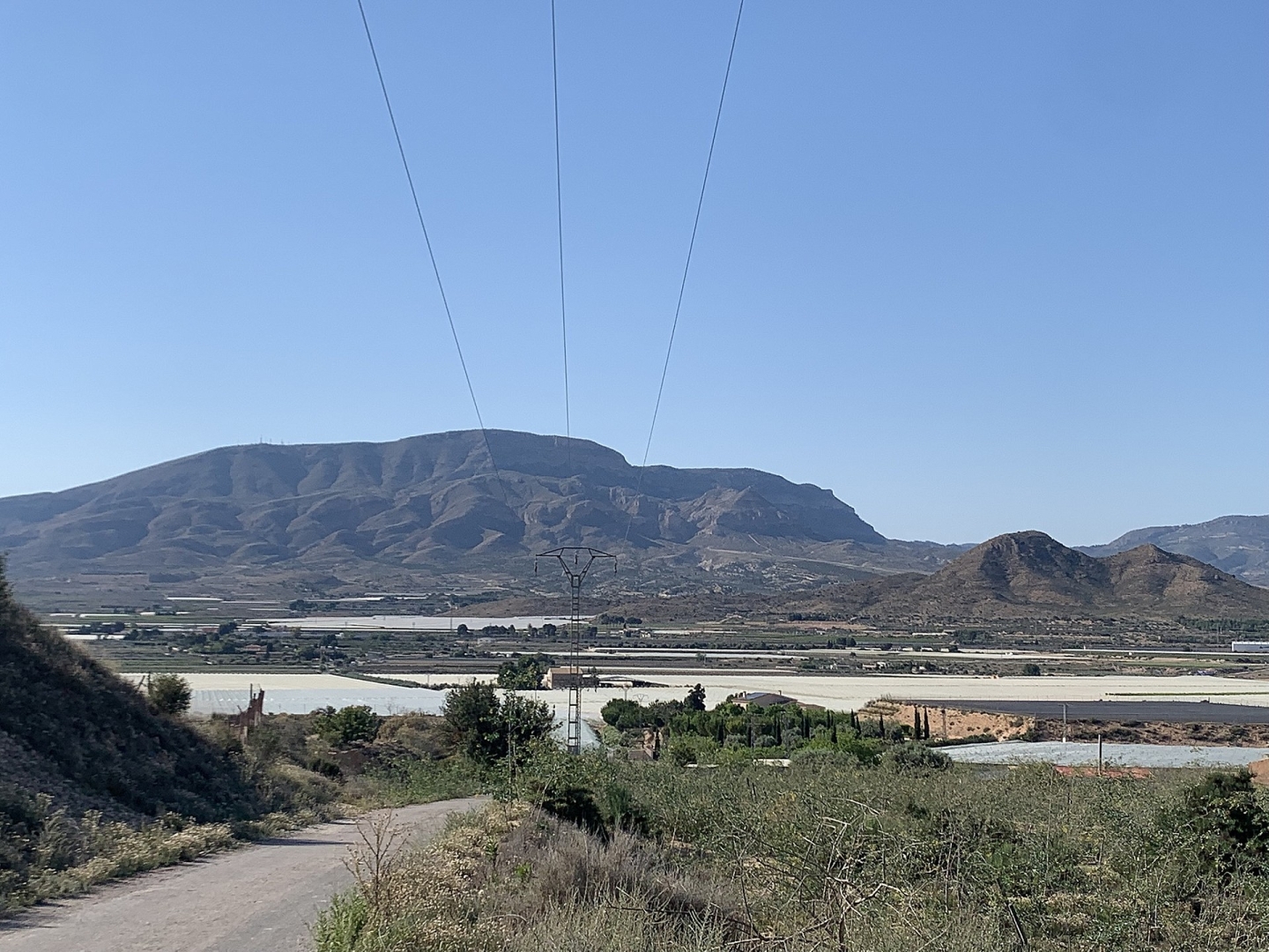 Land in Monforte Del Cid