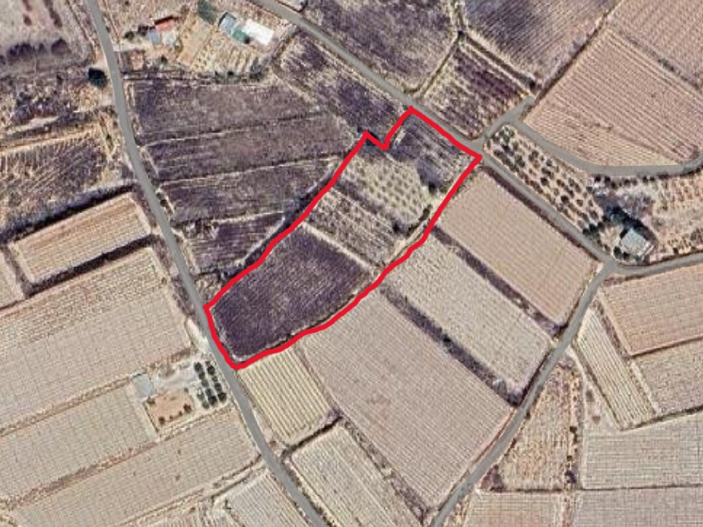 Land in Monforte Del Cid