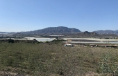 Land in Monforte Del Cid