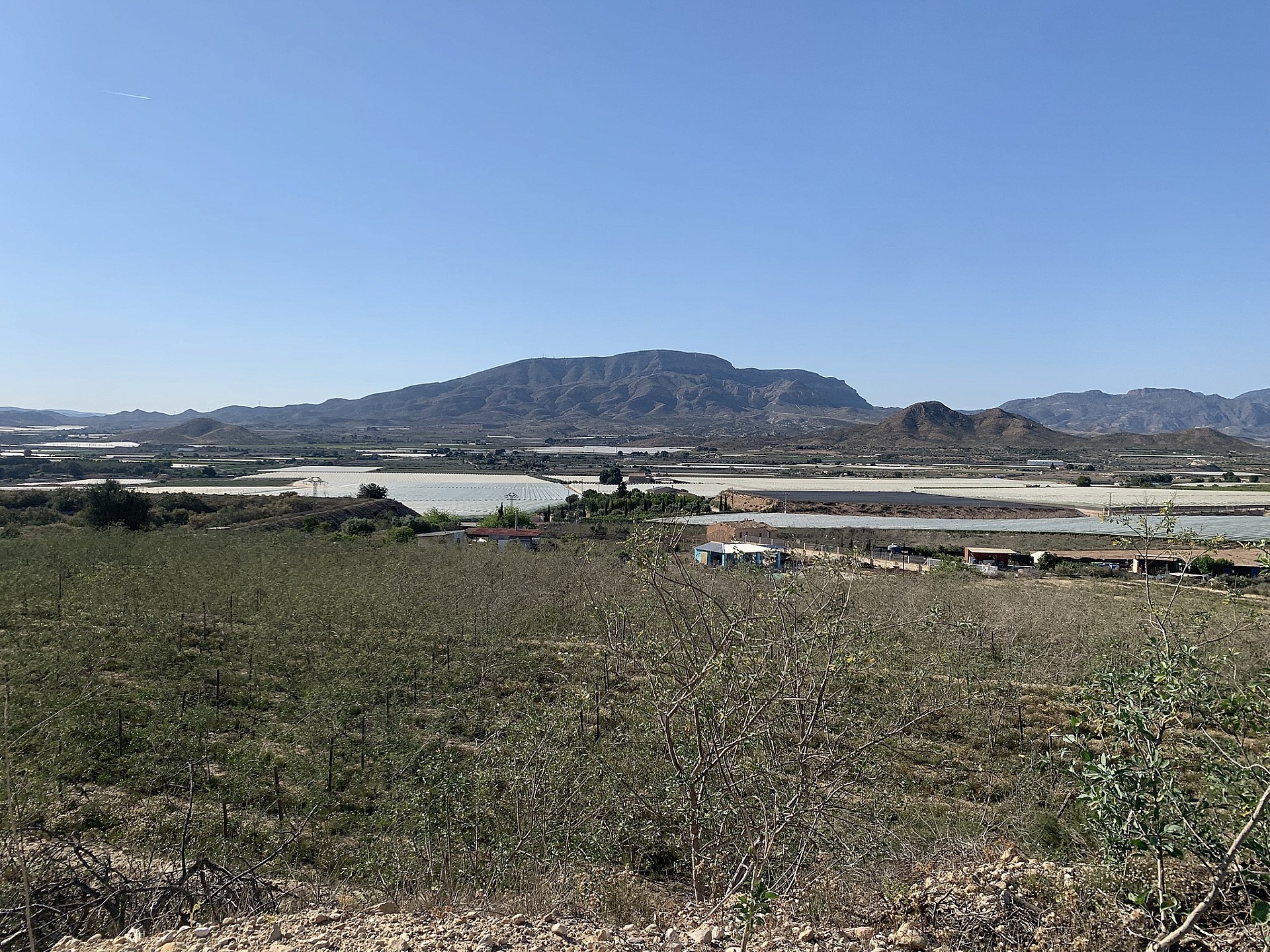 Land in Monforte Del Cid