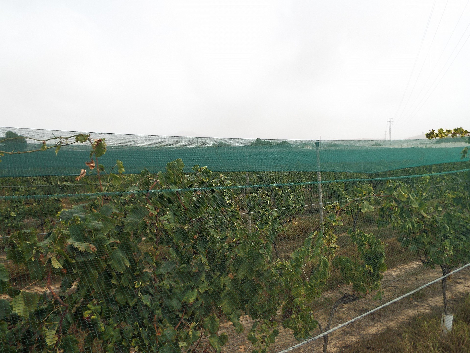 Resale - Land in Monforte Del Cid -  - Alicante
