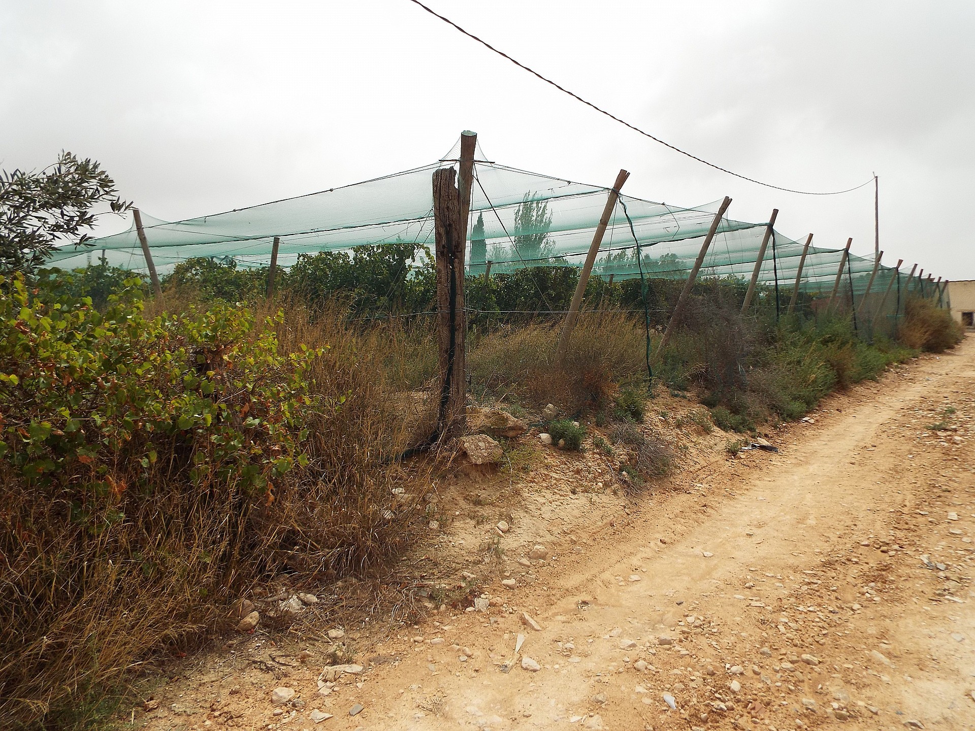 Resale - Land in Monforte Del Cid -  - Alicante