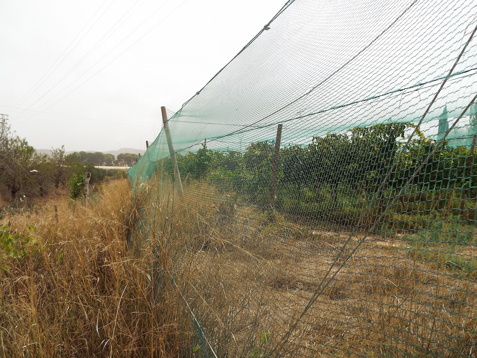 Resale - Land in Monforte Del Cid -  - Alicante