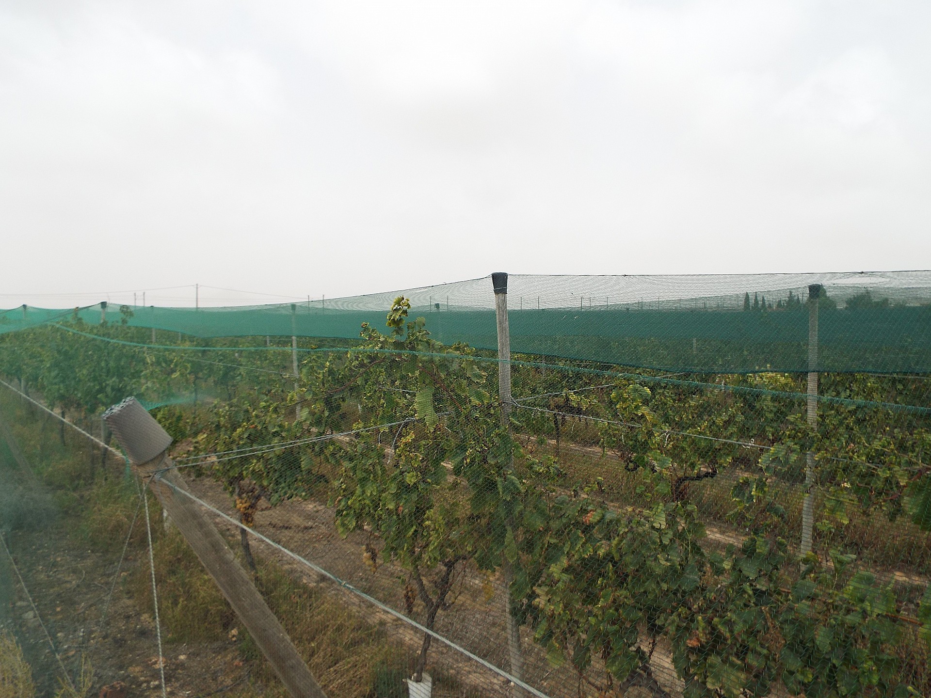 Resale - Land in Monforte Del Cid -  - Alicante